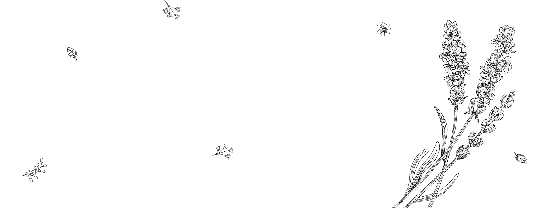 Politica de returnări și rambursări